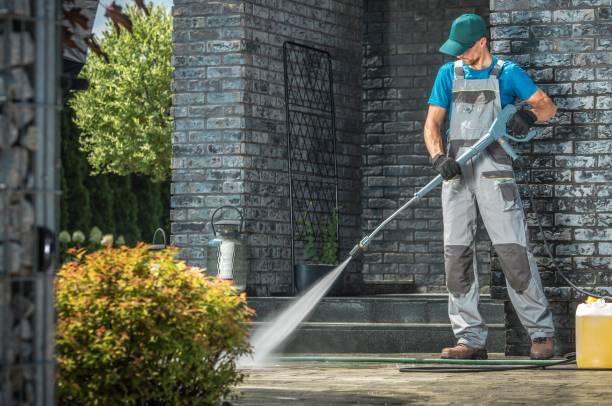 Animal Enclosure Cleaning in North Plainfield, NJ